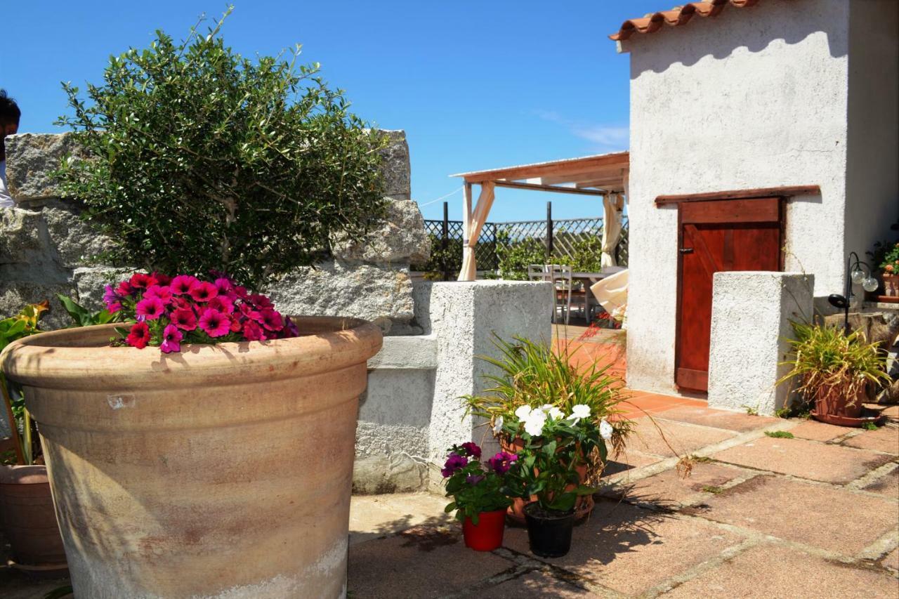 Villa Gandamar Santa Teresa di Gallura Esterno foto